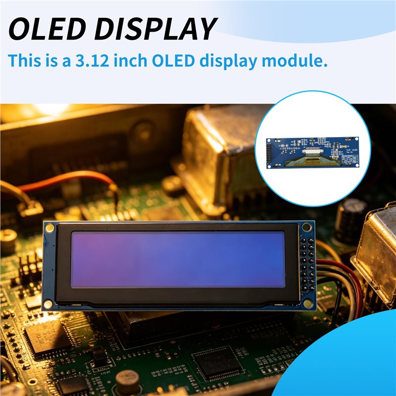 3.12 Inch OLED Display 256X64  - Oled Display Module recension och pris